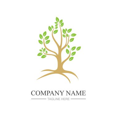 Ağaç logosu şablon vektör çizimi