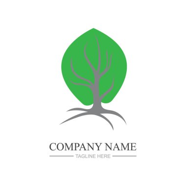 Ağaç logosu şablon vektör çizimi