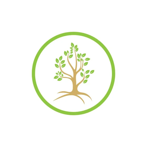 Árvore Logotipo Modelo Vetor Ícone Ilustração — Vetor de Stock