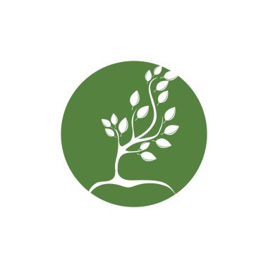 ağaç logo vektör resimleme şablonu