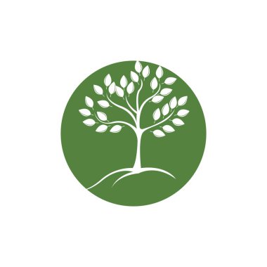 ağaç logo vektör resimleme şablonu