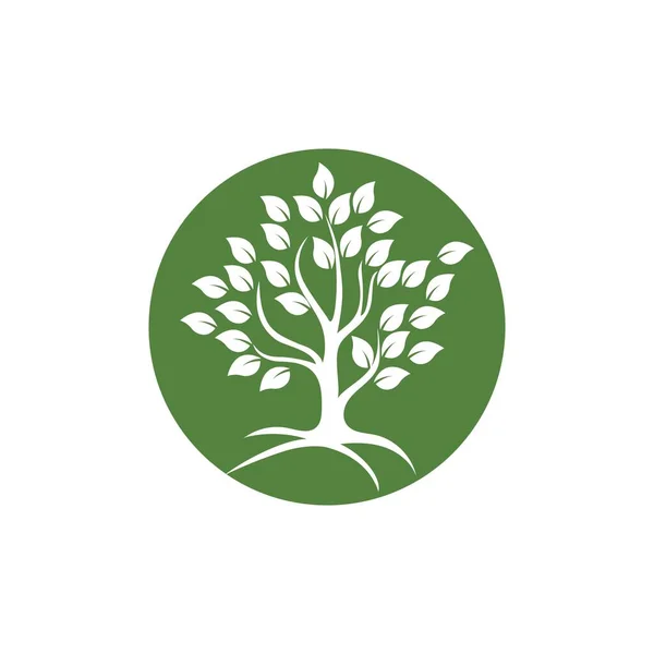 Árvore Logotipo Vetor Ícone Ilustração Design Modelo —  Vetores de Stock