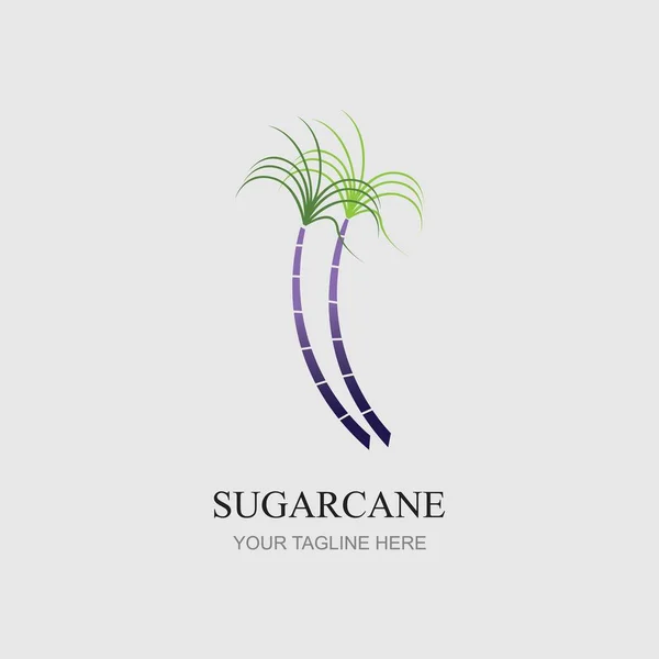 Cana Açúcar Logotipo Ícone Símbolo Vetor Ilustração Design Modelo — Vetor de Stock