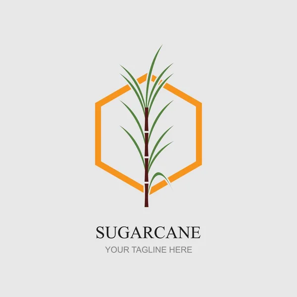 Cana Açúcar Logotipo Ícone Símbolo Vetor Ilustração Design Modelo — Vetor de Stock