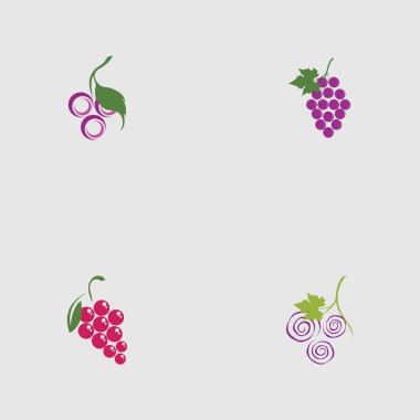 Kök logo tasarımı üzerinde üzüm ve yaprak seti
