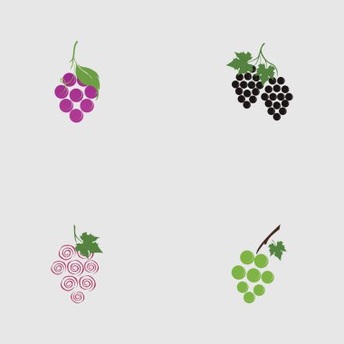 Kök logo tasarımı üzerinde üzüm ve yaprak seti