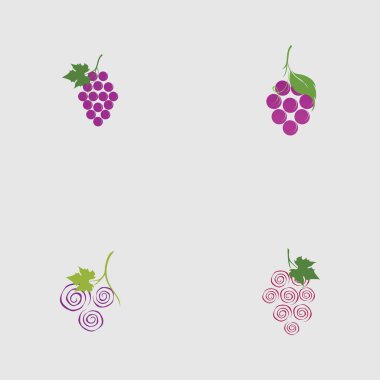 Kök logo tasarımı üzerinde üzüm ve yaprak seti