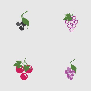 Kök logo tasarımı üzerinde üzüm ve yaprak seti