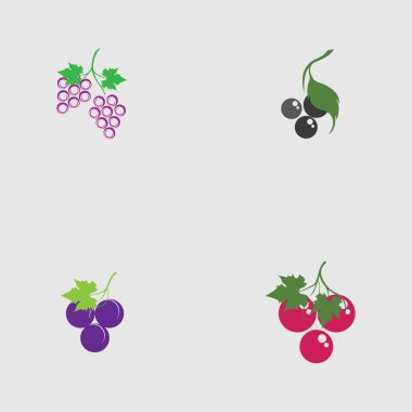 Kök logo tasarımı üzerinde üzüm ve yaprak seti