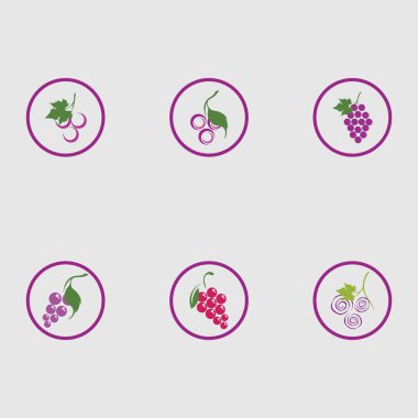 Yeşil yapraklı taze üzümler logo vektör illüstrasyon tasarımını ayarlar