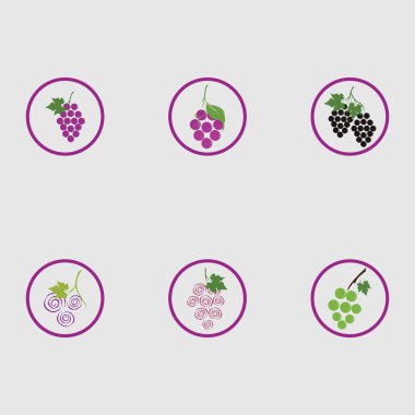 Yeşil yapraklı taze üzümler logo vektör illüstrasyon tasarımını ayarlar