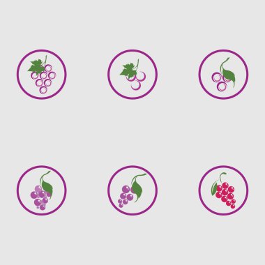 Yeşil yapraklı taze üzümler logo vektör illüstrasyon tasarımını ayarlar