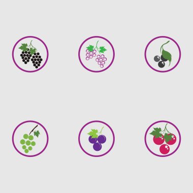 Yeşil yapraklı taze üzümler logo vektör illüstrasyon tasarımını ayarlar