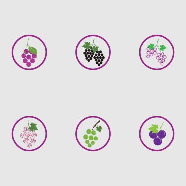 Yeşil yapraklı taze üzümler logo vektör illüstrasyon tasarımını ayarlar
