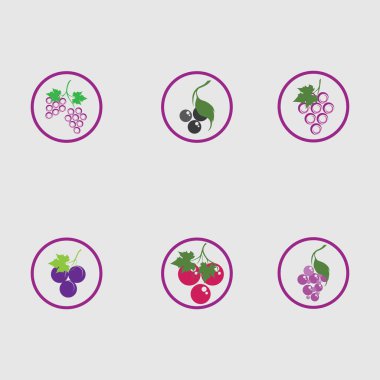 Yeşil yapraklı taze üzümler logo vektör illüstrasyon tasarımını ayarlar