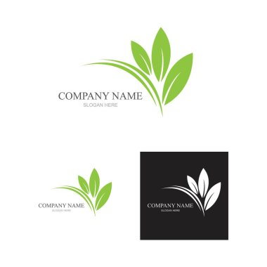 Yeşil yapraklı ekoloji doğa element ikonu logoları