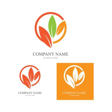 Yeşil yapraklı ekoloji doğa element ikonu logoları