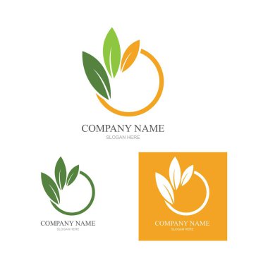 Yeşil yapraklı ekoloji doğa element ikonu logoları