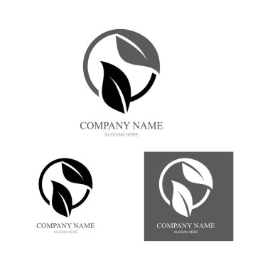 Yeşil yapraklı ekoloji doğa element ikonu logoları