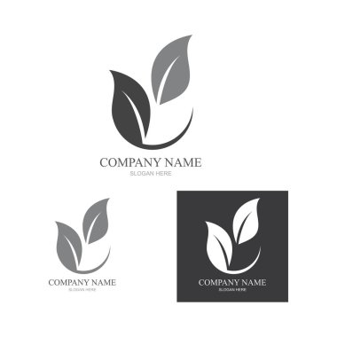 Yeşil yapraklı ekoloji doğa element ikonu logoları