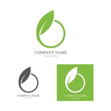 Yeşil yapraklı ekoloji doğa element ikonu logoları