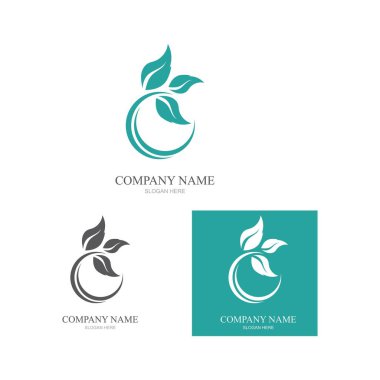 Yeşil yapraklı ekoloji doğa element ikonu logoları