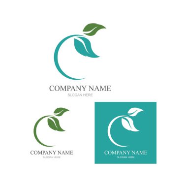 Yeşil yapraklı ekoloji doğa element ikonu logoları