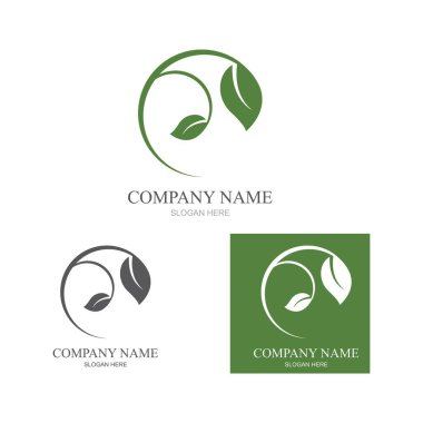 Yeşil yapraklı ekoloji doğa element ikonu logoları
