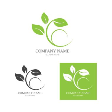 Yeşil yapraklı ekoloji doğa element ikonu logoları