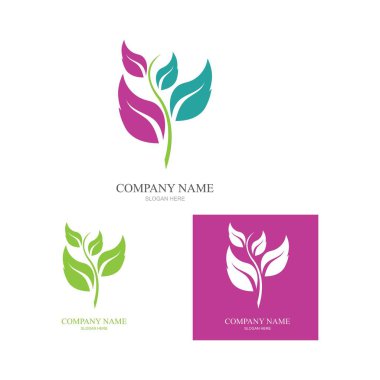 Yeşil yapraklı ekoloji doğa element ikonu logoları