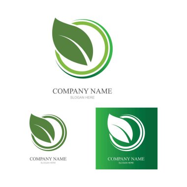 Yeşil yapraklı ekoloji doğa element ikonu logoları