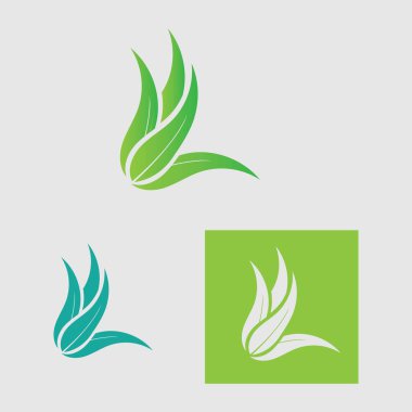koleksiyon Aloe Vera logo şablonu, Yeşil yaprak aloe vera etiketi