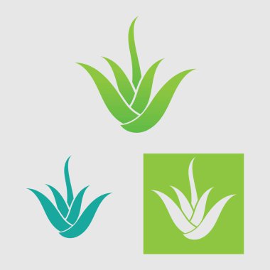 koleksiyon Aloe Vera logo şablonu, Yeşil yaprak aloe vera etiketi