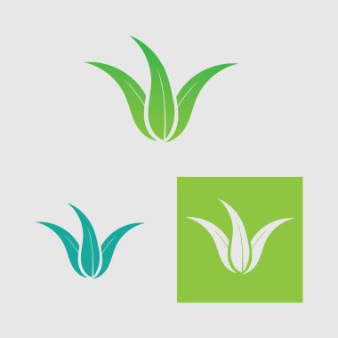 koleksiyon Aloe Vera logo şablonu, Yeşil yaprak aloe vera etiketi