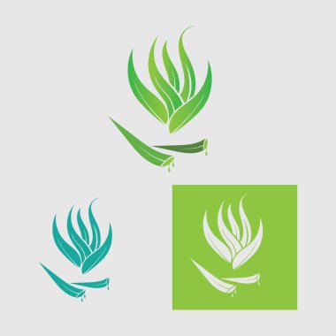 koleksiyon Aloe Vera logo şablonu, Yeşil yaprak aloe vera etiketi