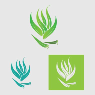 koleksiyon Aloe Vera logo şablonu, Yeşil yaprak aloe vera etiketi