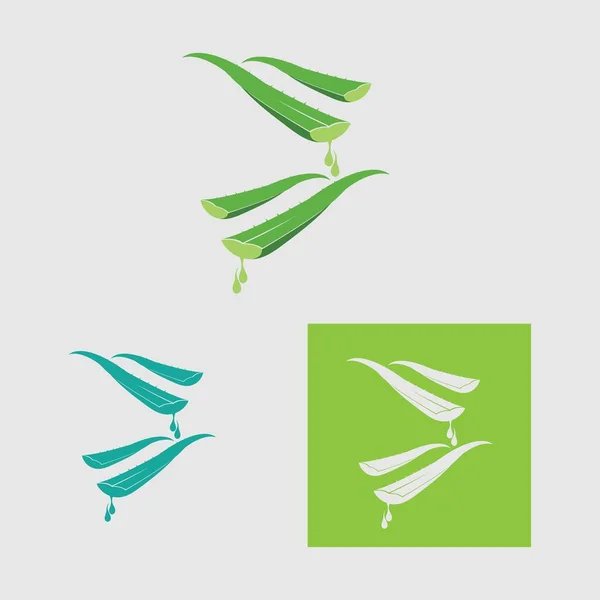 Coleção Modelo Logotipo Aloe Vera Folha Verde Rótulo Aloe Vera — Vetor de Stock