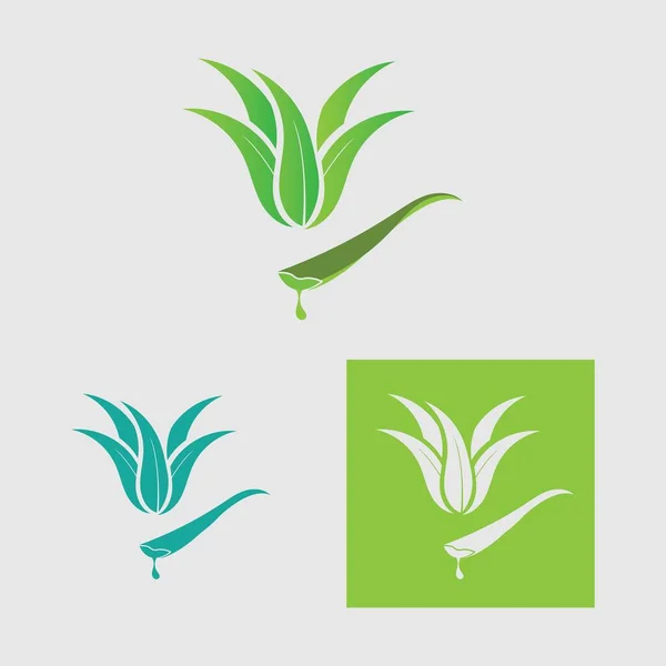 Coleção Modelo Logotipo Aloe Vera Folha Verde Rótulo Aloe Vera — Vetor de Stock