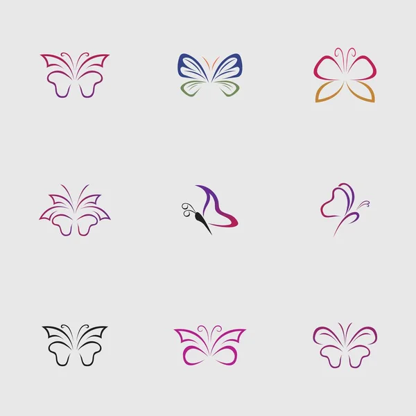 Una Colección Hermosas Hermosas Mariposas Sobre Fondo Gris — Vector de stock