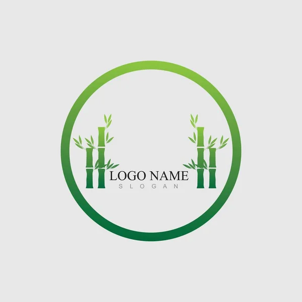 Natureza Bambu Logo Vetor Ilustração Design — Vetor de Stock