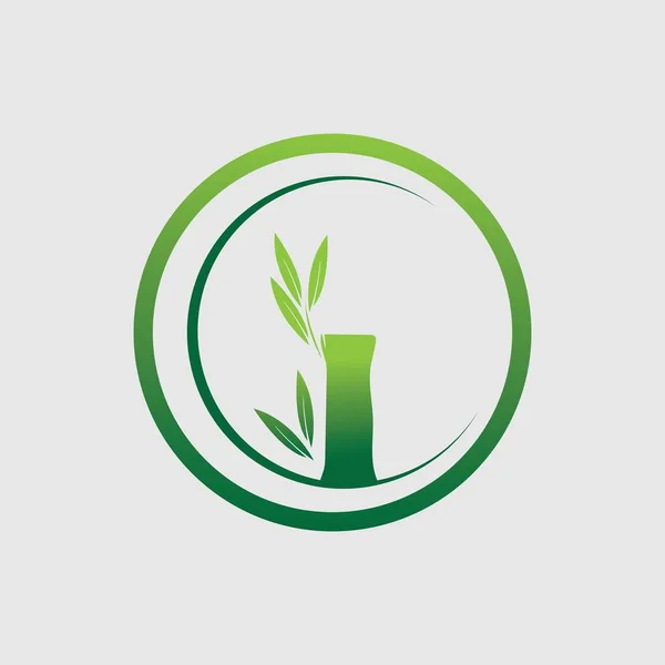 Natureza Bambu Logo Vetor Ilustração Design —  Vetores de Stock