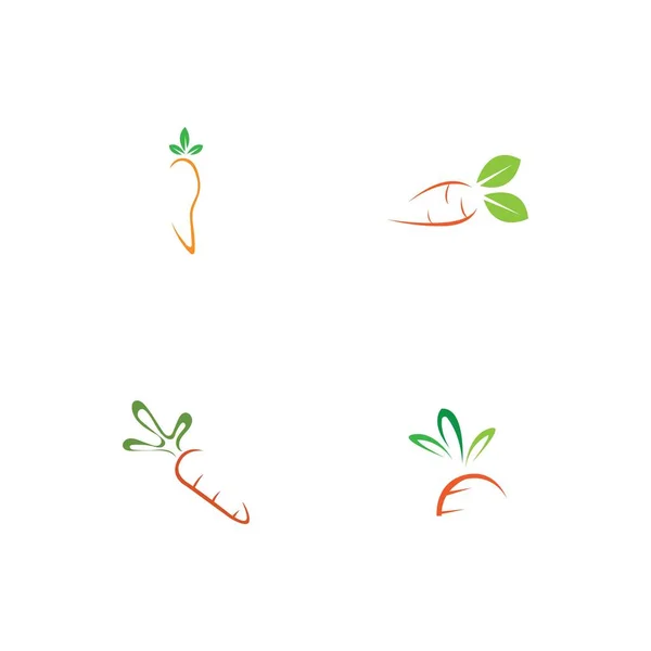 Illustration Vector Set Carrot Logo Design — Vetor de Stock