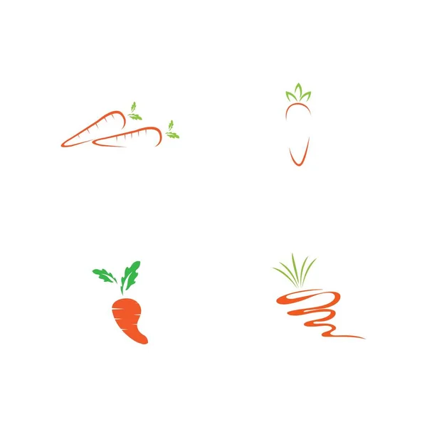 Illustration Vector Set Carrot Logo Design — Stock Vector