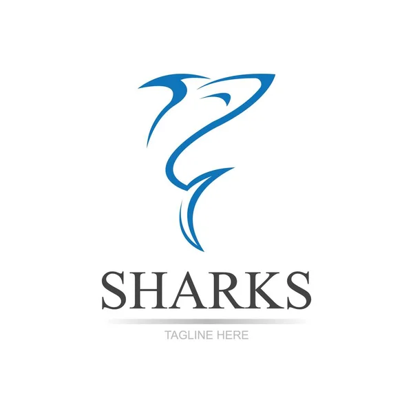 Tubarão Ilustração Logotipo Modelo Vector —  Vetores de Stock