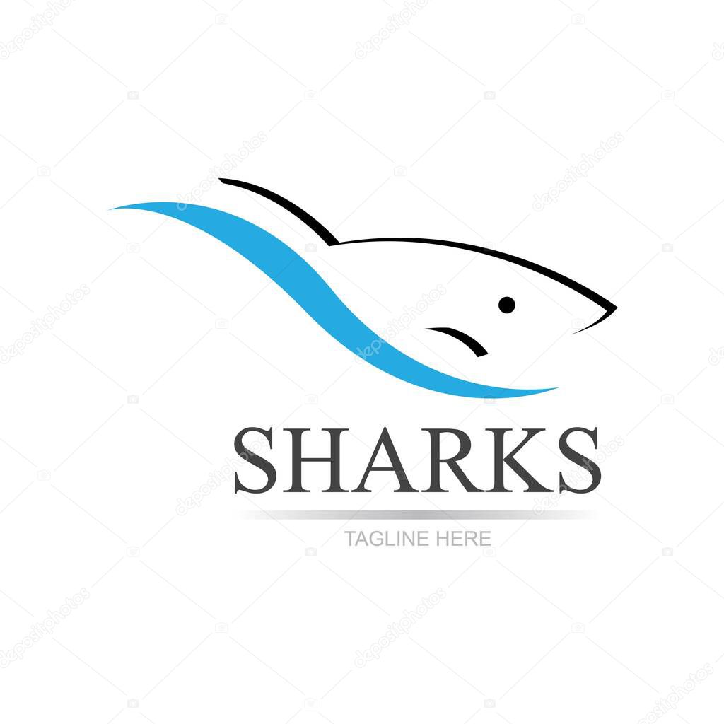 Shark illustration Logo Template Vector