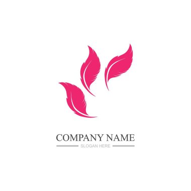 Tüy logo resimleri tasarım şablonu