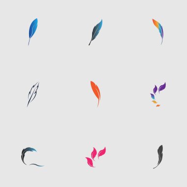 Gri arkaplanda tüy vektör illüstrasyon tasarımının logosu
