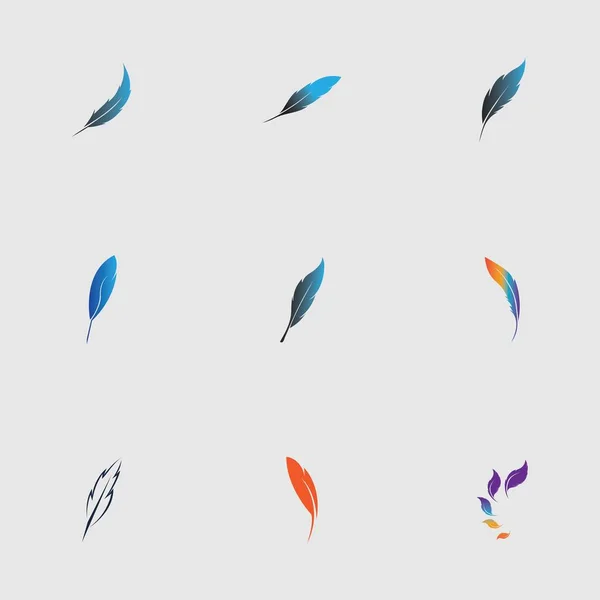 Conjunto Logotipo Del Diseño Ilustración Vectores Plumas Sobre Fondo Gris — Vector de stock