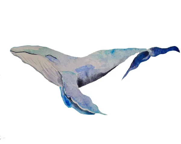 Wieloryb Ogromna Niebieska Wolna Ryba Mieszkaniec Mórz Oceanów Wodny Mieszkaniec — Zdjęcie stockowe