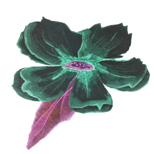 Чорна Темна Квітка Зеленими Венами Зеленим Ядром Пістолети Тичинки Фантастична — стокове фото